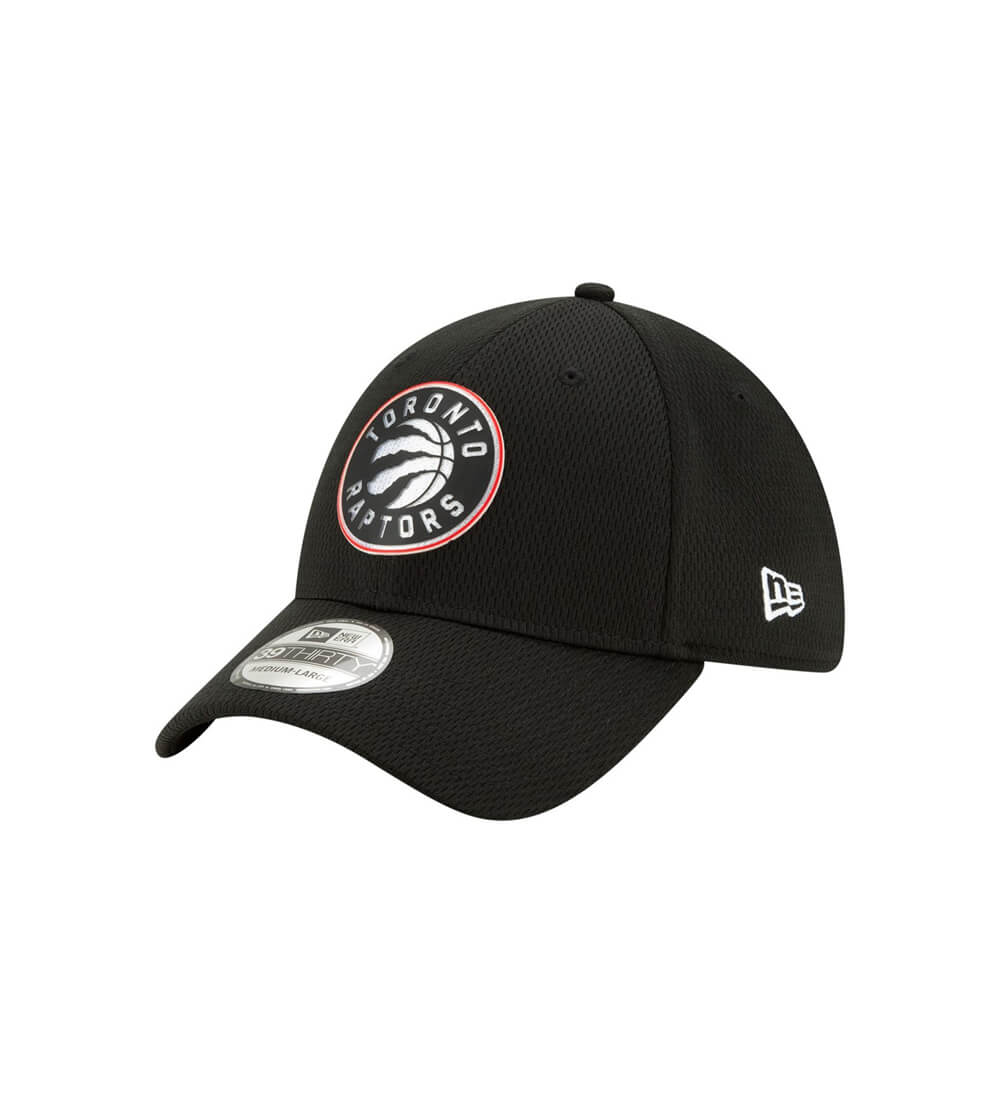 Toronto Raptors New Era Back Half Team 39THIRTY